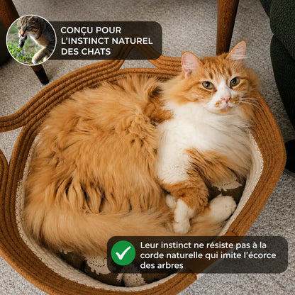 Panier Instinct | L’espace naturel pensé pour votre chat