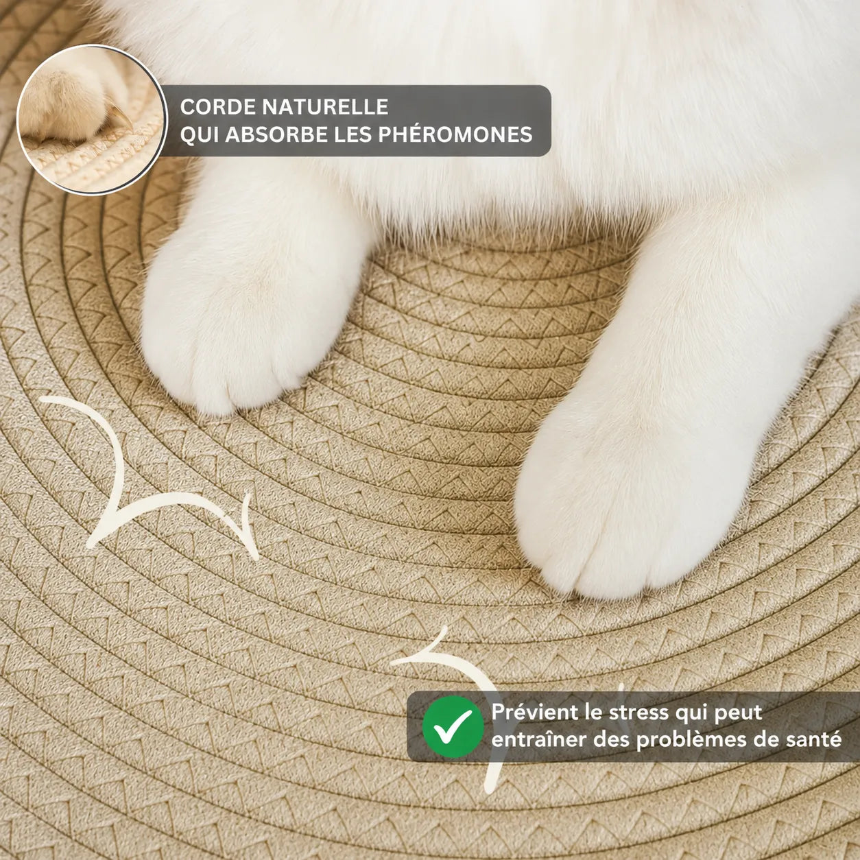 Panier Instinct | L’espace naturel pensé pour votre chat