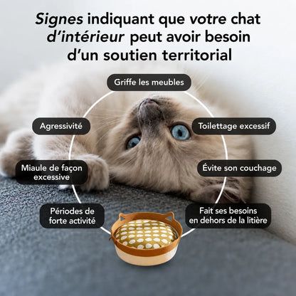 Panier Instinct | L’espace naturel pensé pour votre chat