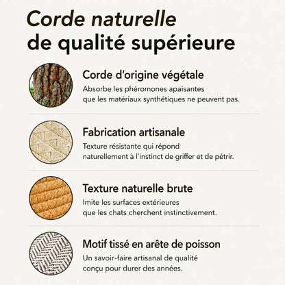 Panier Instinct | L’espace naturel pensé pour votre chat