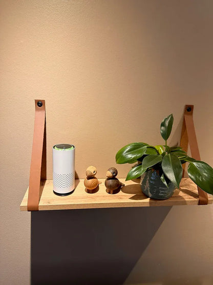 Purificateur d'air Fleecky