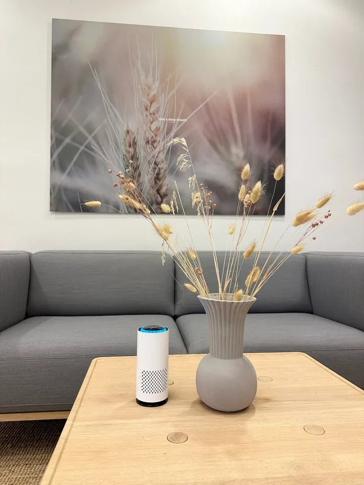 Purificateur d'air Fleecky