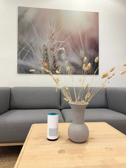 Purificateur d'air Fleecky